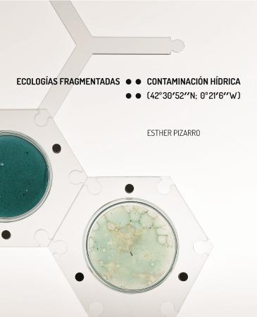 Ecologías fragmentadas: Contaminación hídrica (42º30´52´´N; 0º21´6´´W)