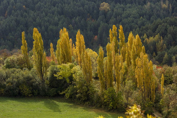 Imagen Patrimonio natural