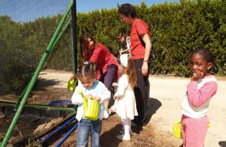 Imagen: Los pájaros, protagonistas del Aula de Naturaleza