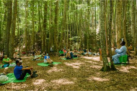 Imagen: La kora de Ali Boulo Santo y el bosque del Betato hechizan al público...