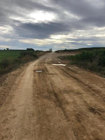 Imagen: Estado del camino vecinal entre Sangarrén y Albero Bajo.