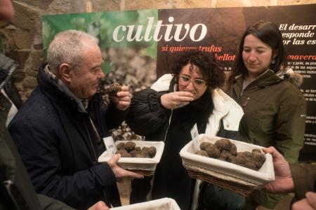 Miguel Gracia: “la recuperación de la truficultura permite mantener puertas abiertas en la zona rural”