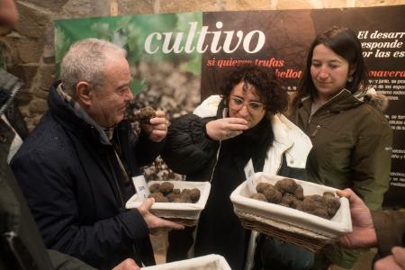 Imagen: Miguel Gracia: “la recuperación de la truficultura permite mantener...