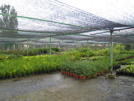 Imagen: La campaña de flor de la DPH llevará 82.000 plantas para embellecer los...