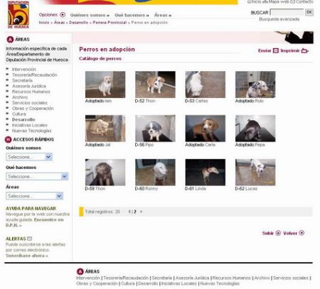 La Diputación Provincial de Huesca tramita las primeras adopciones de...