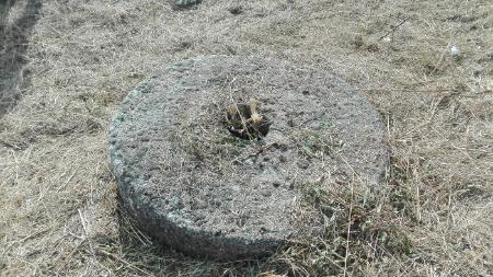 Los trabajos de desbroce y limpieza de maleza en la Cartuja sacan a la...