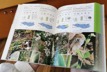 Publicado el libro de flora alpina del Pirineo, que recibió una beca a la edición en los Félix de Azara 2019