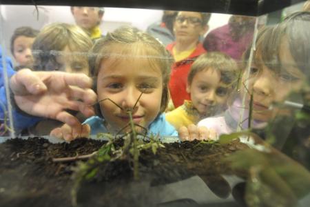 Imagen: La DPH ultima la programación del Aula Itinerante de la Naturaleza