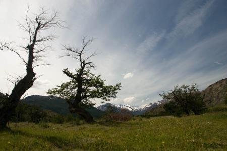 Imagen: 13 exposiciones de la Diputación de Huesca recorrerán todas las comarcas...