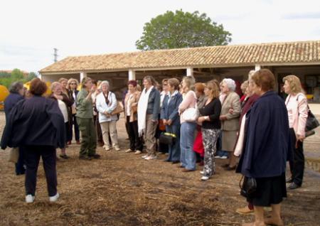 Imagen: La Asociación de Consumidores y Amas de Casa del Alto Aragón participa...