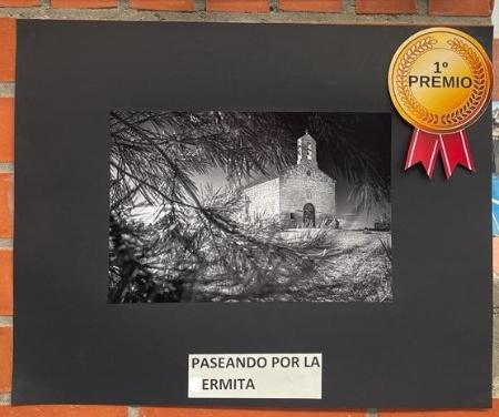 Imagen Once premios han sido otorgados en el Concurso de Pintura Rápida...