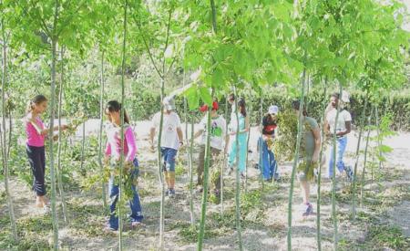 Imagen: Los Domingos de Primavera se clausuran mañana en el Vivero Provincial