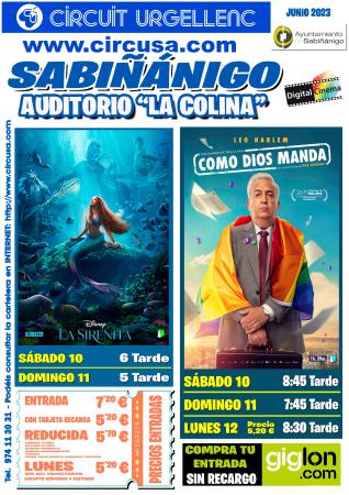 Image SABIÑANIGO 06-11
