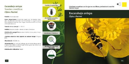 Una guía descubre los escarabajos de la provincia de Huesca, proyecto...