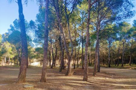 Imagen: Parque forestal La Sierra de Ballobar