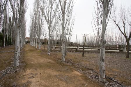 Terrenos Castejón del Puente. F: J.Blasco