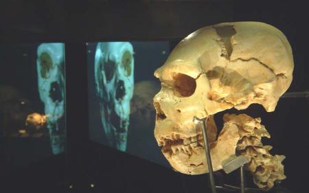 Imagen: El programa de actividades sobre Atapuerca se abre a los más pequeños
