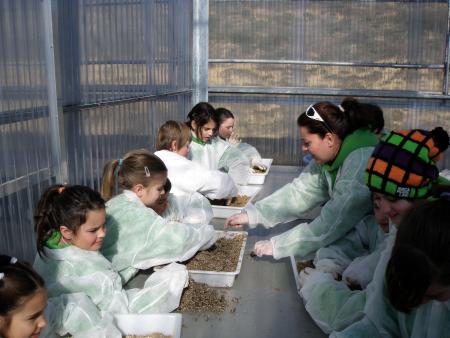 Imagen: El CIET muestra su trabajo e investigación en torno a la trufa
