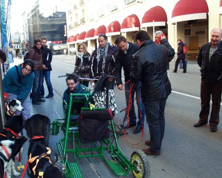 Imagen: La Travesía de Los Monegros con Perros de Tiro inicia su recorrido con...