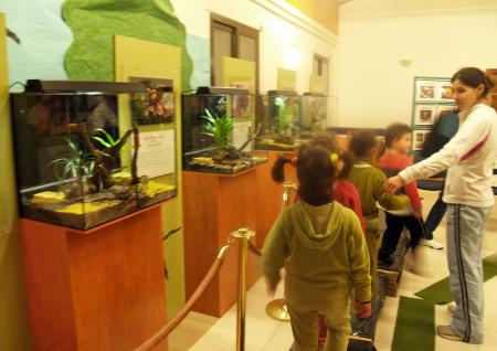 Imagen: El Aula de Naturaleza de la DPH celebra el Día Mundial de Medio Ambiente