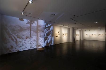 Exposición La lluvia amarilla: Fotografía Javier Broto Hernando