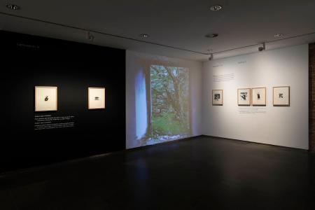 Exposición La lluvia amarilla: Fotografía Javier Broto Hernando