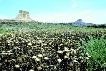 Vista del Desierto de Los Monegros