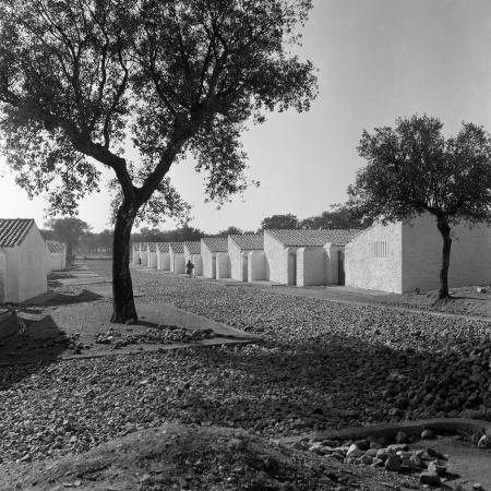 Calle. Vegaviana (Cáceres), ca. 1958. © Herederos de Joaquín del Palacio