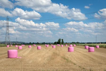 Ensilado en bolas en parcela de cultivo. Cascón de la Nava (Palencia). 2018. © Ana Amado y Andrés Patiño