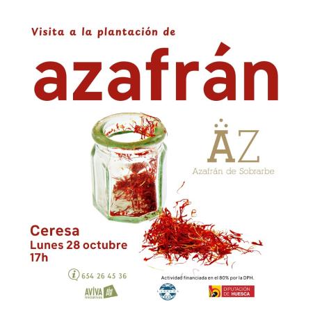 Imagen Visita a la plantación de Azafrán