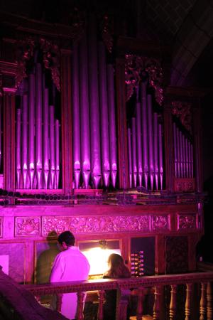 Imagen: Frescura y color del órgano de Berdún
