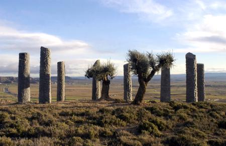 Imagen: Árboles como arqueología, 2003 Ermita de la Corona, Piracés. Hoya de Huesca (Huesca)