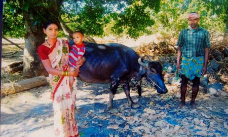 Imagen: Una de las mujeres indias que integran la cooperativa de productos lácteos