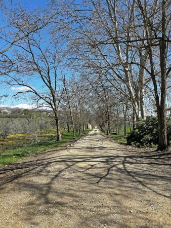 Paseo del Sifón. Albelda