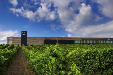 Bodega Laus. Barbastro