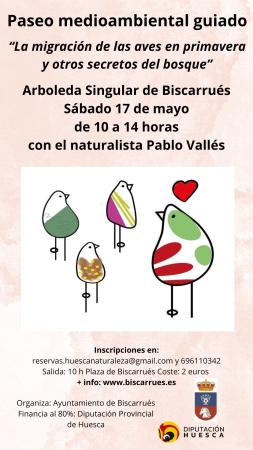 Imagen Paseo Pablo Valles 2025