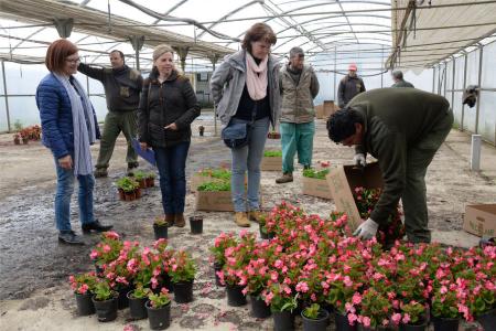 Imagen: Maribel de Pablo ha asistido al primer día de la campaña de la flor del Vivero. J. BLASCO.