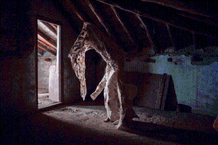 Adela Moreno. Primera casa, 2025