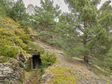 NR 109 Sallent, Obra 7, Fusil Ametrallador. Coord. 42.78294, -0.33452. Alt. 1.543 m. 7/3/2025. © Iñaki Bergera