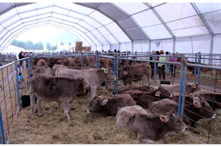 Un momento de la visita a la zona ganadera de la Feria