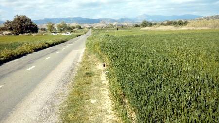 Imagen: Estado actual de la carretera Tiez-Bellestar en tramo central
