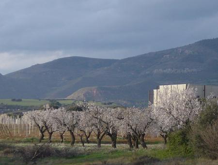 Imagen Bodega EDRA. Ayerbe