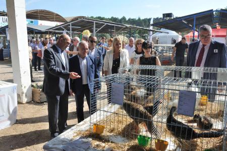 Imagen: Visita al recinto ferial con cerca de 75.000 m2. Foto: Pablo Otín