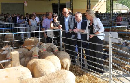 Inauguración de FEMOGA en Sariñena