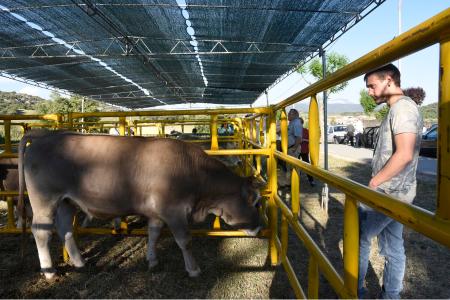 Feria de Benabarre. F. J.BLASCO