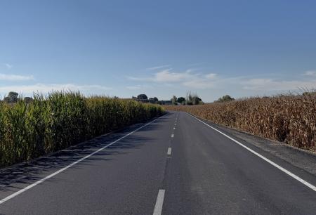 El acceso a Barbués se amplía y renueva con una inversión de 343.000 euros de la Diputación 
