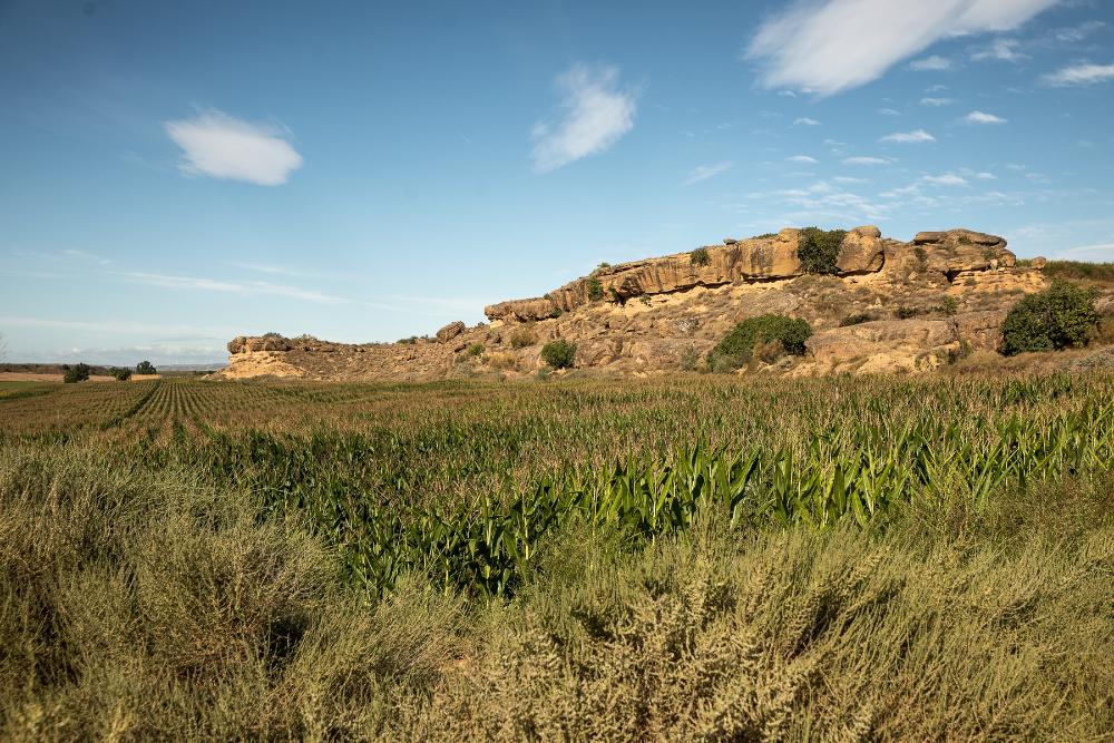 Imagen Rutas