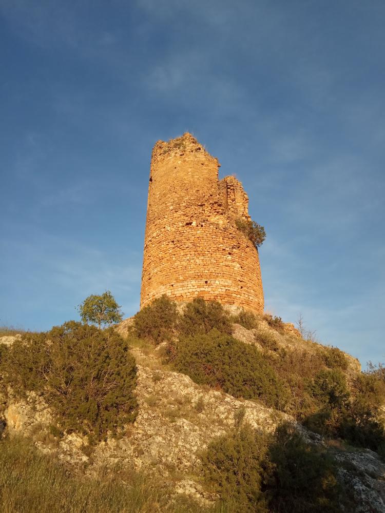 Imagen: castillo fals
