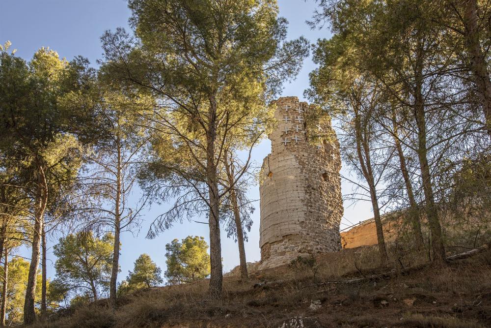 Imagen Castillo
