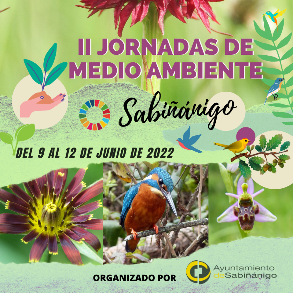 Imagen El Ayuntamiento de Sabiñánigo celebrará sus segundas jornadas de medio ambiente del 9 al 12 de junio